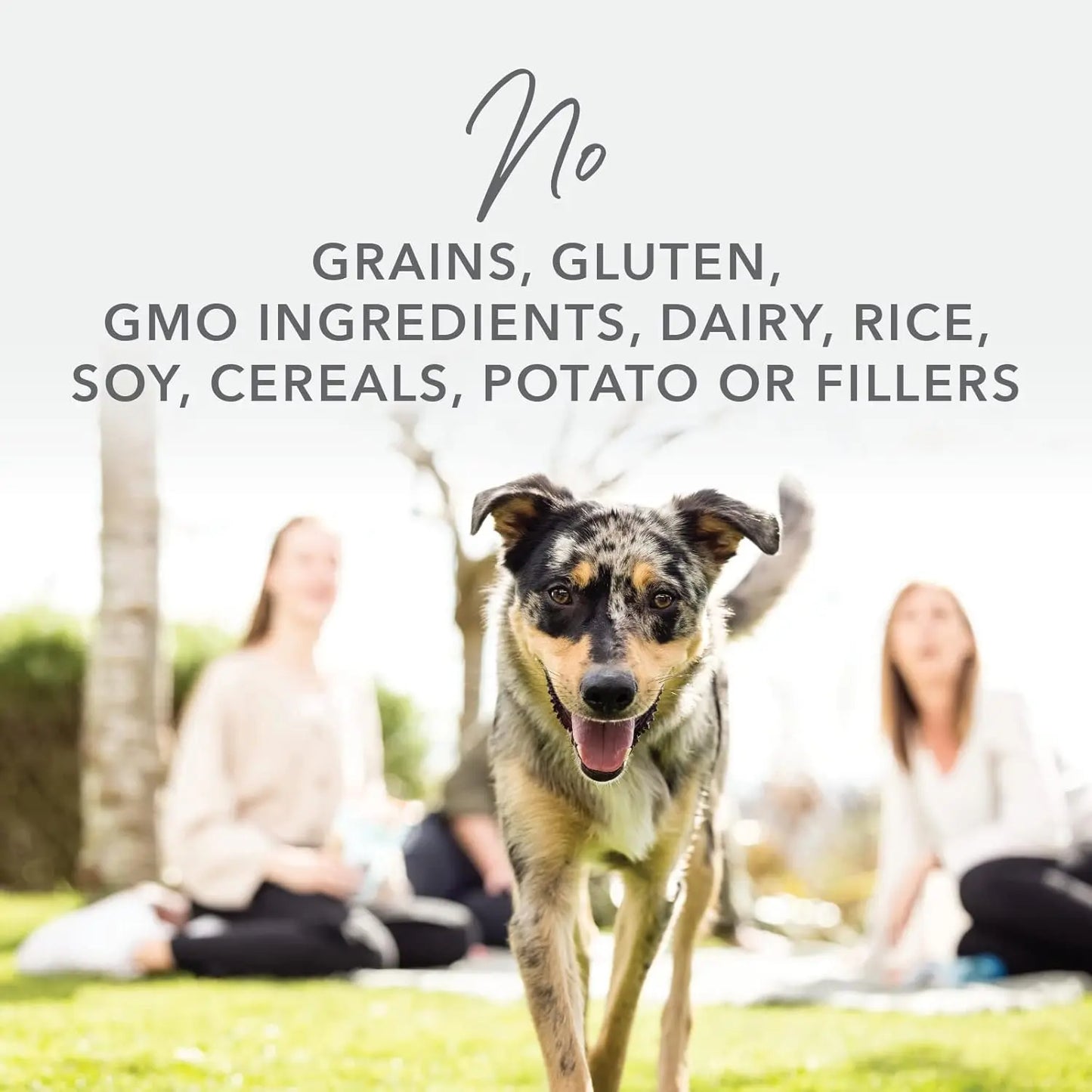 A happy dog runs on grass toward the camera, two women in the background. Text above features K9 Natural Hoki & Beef Grain-Free Freeze-Dried Dog Food Topper: no grains, gluten, GMOs, dairy, rice, soy, cereals, potato or fillers.
