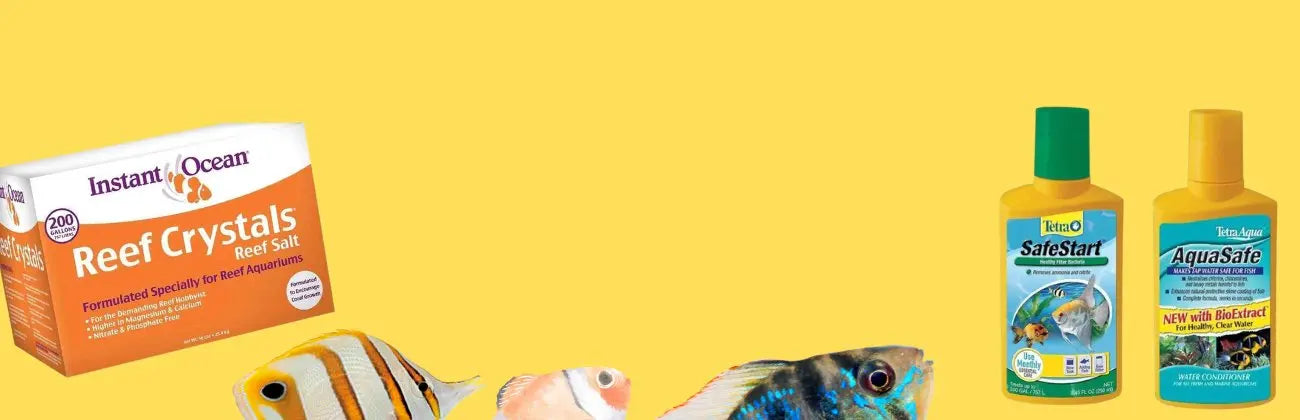 Fish Health