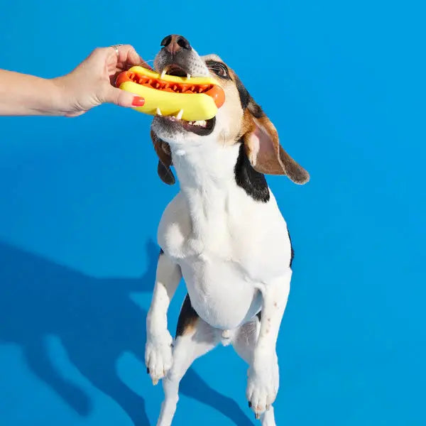 BARK Super Chewer Treat Meat Hot Dog Dog Chew Toy BARK