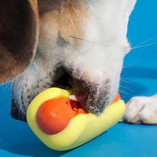 BARK Super Chewer Treat Meat Hot Dog Dog Chew Toy BARK