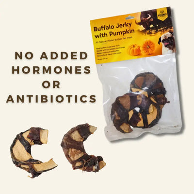 A package of Advance Pet Products Long Lasting Water Buffalo Jerky Treats for Healthy Dog Chewing with pumpkin is shown, alongside two loose treats. The package displays a dog and pumpkins and states: No added hormones or antibiotics.
