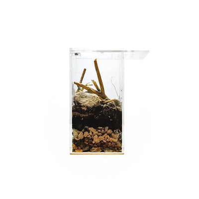 Acrylic Enclosure Mini Tall Reptile Breeding Box Terrarium Cage for Sling Isopods Invertebrates & HerpCult